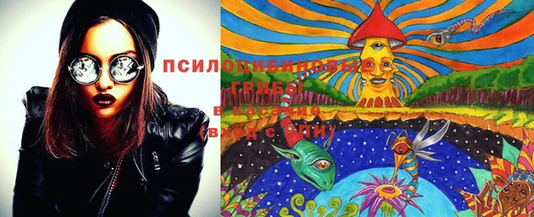 молекула духа Беломорск