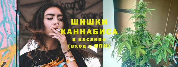 гашик Белоозёрский