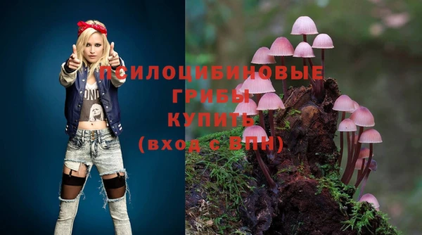 молекула духа Беломорск