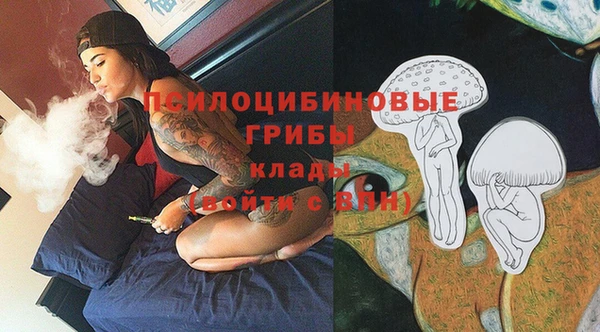 молекула духа Беломорск