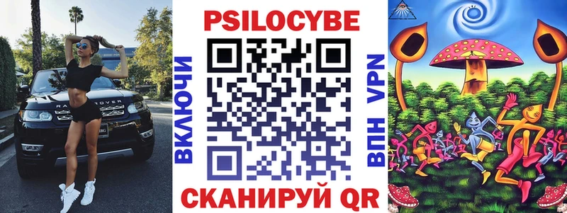 Псилоцибиновые грибы Cubensis  Бородино 
